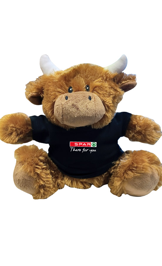 STB86: Highland Cow with Tee Shirt